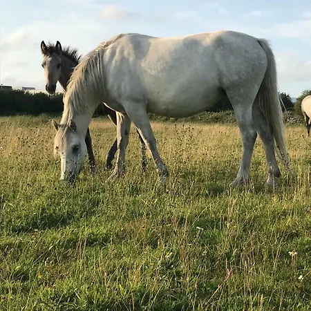 R339 Barn * Galway
